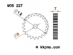 Zahnrad / Trieb M0.5 / 22 Zähne AD 12mm